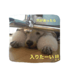 Mahha is Lovely（個別スタンプ：3）