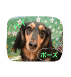 Tom is cute（個別スタンプ：2）