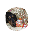 Tom is cute（個別スタンプ：6）