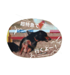 ロケーション撮影（個別スタンプ：7）