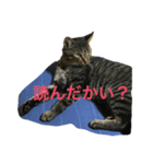 モフとるる（個別スタンプ：3）