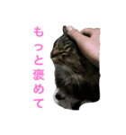 モフとるる（個別スタンプ：4）