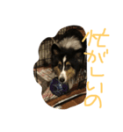 日常会話 vol.2（個別スタンプ：2）