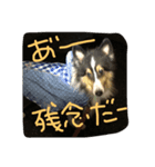 日常会話 vol.2（個別スタンプ：3）