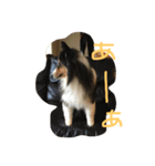 日常会話 vol.2（個別スタンプ：4）