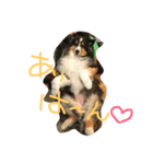 日常会話 vol.2（個別スタンプ：5）