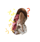 Cute lovely pretty（個別スタンプ：6）