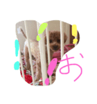Cute lovely pretty（個別スタンプ：7）