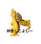 ヒョウモントカゲモドキ（個別スタンプ：5）