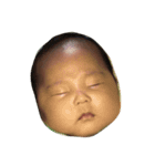 優太郎さん（個別スタンプ：1）