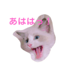 ななるるららくまっ！（個別スタンプ：2）