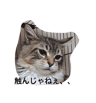 ななるるららくまっ！（個別スタンプ：4）