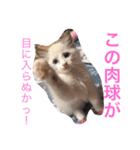 ななるるららくまっ！（個別スタンプ：5）