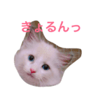 ななるるららくまっ！（個別スタンプ：7）