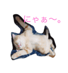 ななるるららくまっ！（個別スタンプ：13）