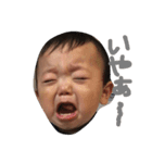 やまとボーイの日常2（個別スタンプ：1）