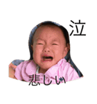 amafamily（個別スタンプ：6）
