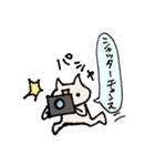 世界旅行するネコ（個別スタンプ：31）