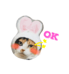 三毛猫ハルちゃん⑤（個別スタンプ：8）