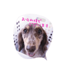moniclaのつぶやき②（個別スタンプ：3）