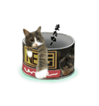 ワンにゃんらぶ♪（個別スタンプ：5）
