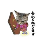ワンにゃんらぶ♪（個別スタンプ：15）