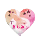 rabbitSORA（個別スタンプ：8）