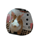 rabbitSORA（個別スタンプ：22）