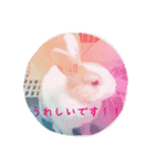 rabbitSORA（個別スタンプ：30）