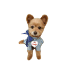 pomapoo dog 2（個別スタンプ：1）