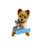pomapoo dog 2（個別スタンプ：2）