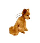 pomapoo dog 2（個別スタンプ：9）