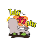 This's Buffalo（個別スタンプ：2）