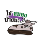 This's Buffalo（個別スタンプ：5）