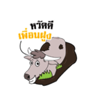 This's Buffalo（個別スタンプ：8）