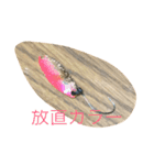 ルアーフィッシングとフライフィッシング（個別スタンプ：1）