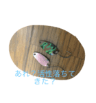 ルアーフィッシングとフライフィッシング（個別スタンプ：4）