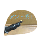 ルアーフィッシングとフライフィッシング（個別スタンプ：11）