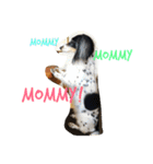 MINI DACHSHUND（個別スタンプ：14）