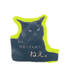 うちのねこみんな顔平らなんです（個別スタンプ：9）