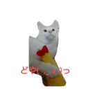 マシュマロさん家の  日常（個別スタンプ：14）