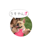 ❤️フレブルのシャルロット❤️（個別スタンプ：15）