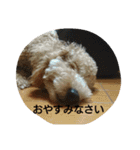 mother.s-love（個別スタンプ：2）