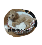 mother.s-love（個別スタンプ：3）