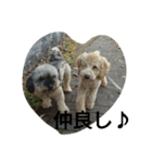 mother.s-love（個別スタンプ：5）