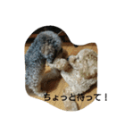 mother.s-love（個別スタンプ：6）