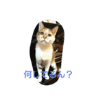 mother.s-love（個別スタンプ：7）