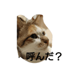 mother.s-love（個別スタンプ：8）