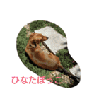 mother.s-love（個別スタンプ：17）