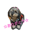 mother.s-love（個別スタンプ：28）